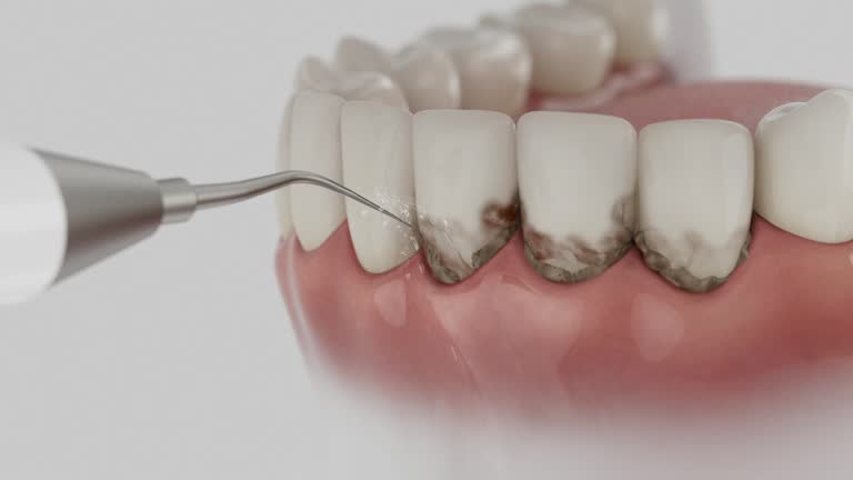 Reliable Dental contractor in Kingston Springs, TN by Dentist Open Now